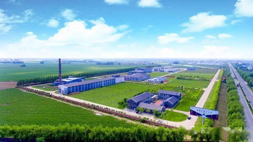 榆樹錢揭牌成立中國北方白酒新技術與新產品聯合研發中心，引領技術開發新篇章